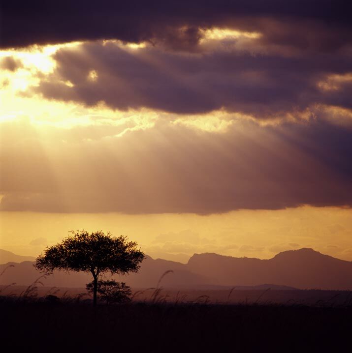 Sunset at Mikumi National Park