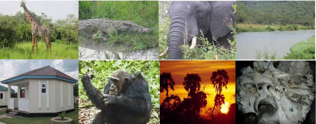 DIVERSE ATTRACTIONS AND DIFFERENT TOURIST ACTIVITIES IN WESTERN TANZANIA