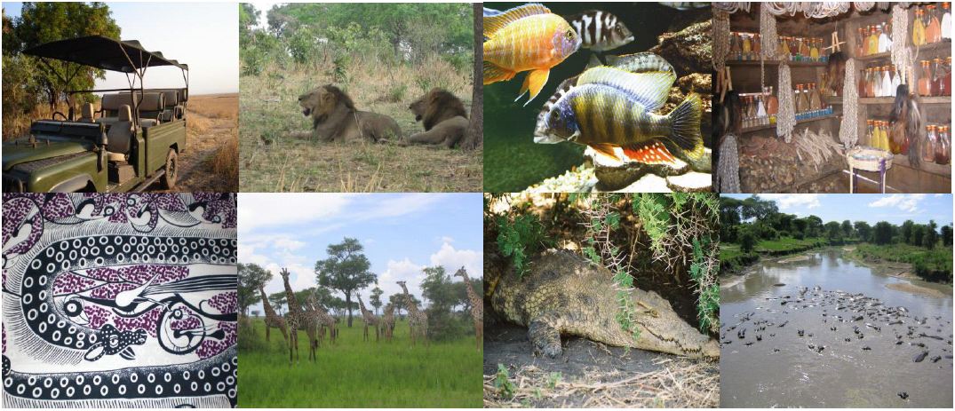 Marula Brochure Photos
